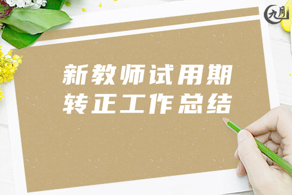 新教师试用期转正工作总结