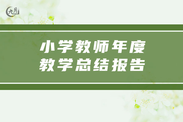 小学教师年度教学总结报告