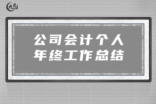 公司会计个人年终工作总结