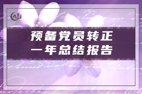 预备党员转正一年总结报告