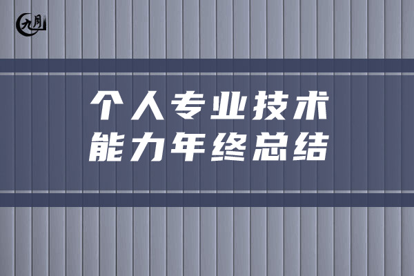 个人专业技术能力年终总结