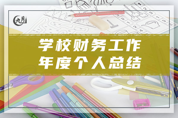 学校财务工作年度个人总结