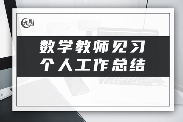 数学教师见习个人工作总结