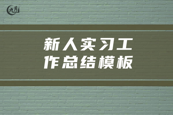 新人实习工作总结模板