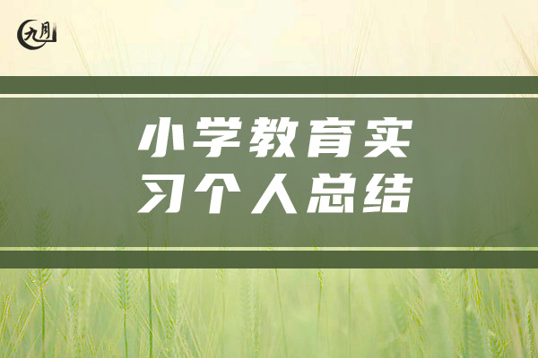 小学教育实习个人总结