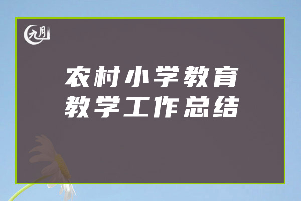 农村小学教育教学工作总结