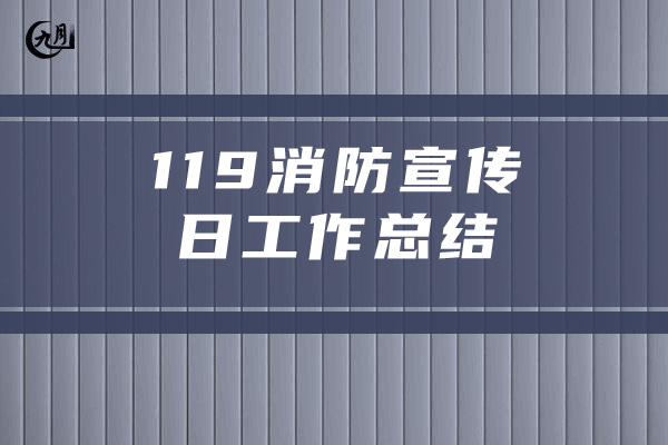 119消防宣传日工作总结