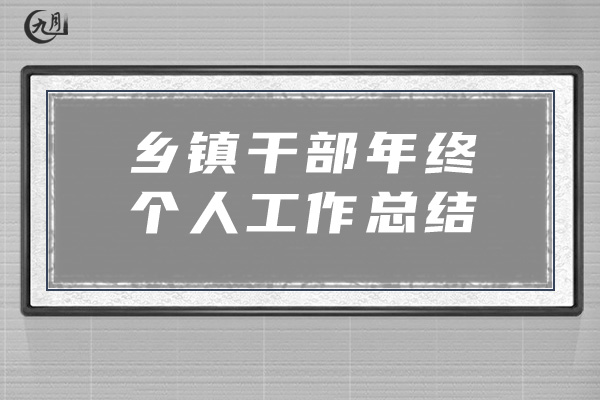 乡镇干部年终个人工作总结