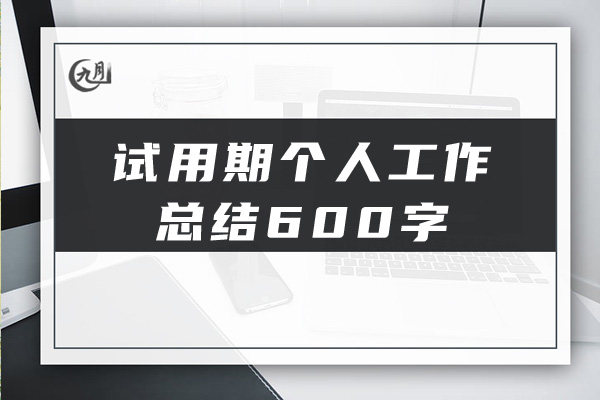 试用期个人工作总结600字