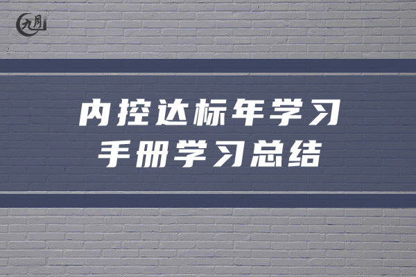 内控达标年学习手册学习总结