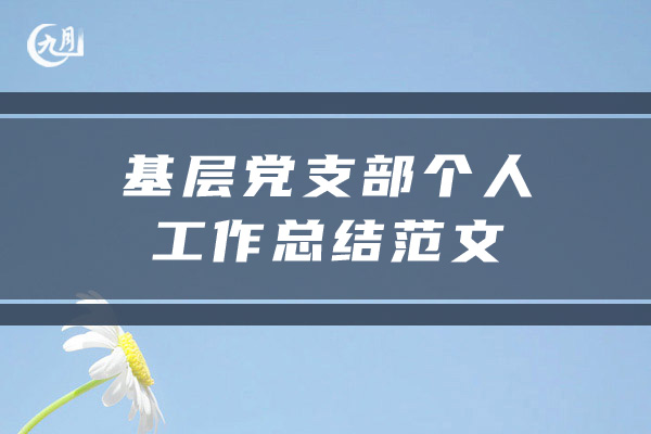 基层党支部个人工作总结范文