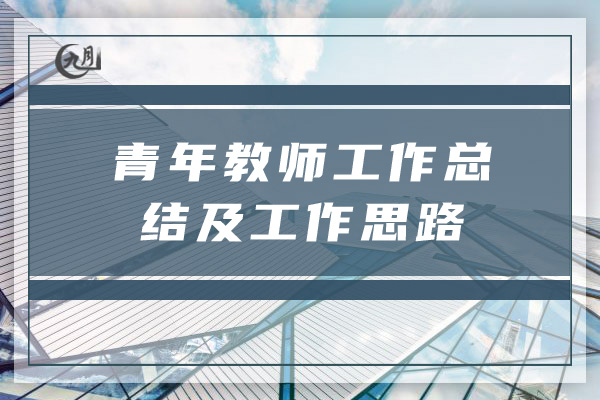 青年教师工作总结及工作思路